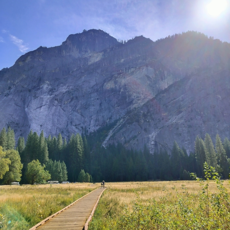 pathway to peaceful landscape