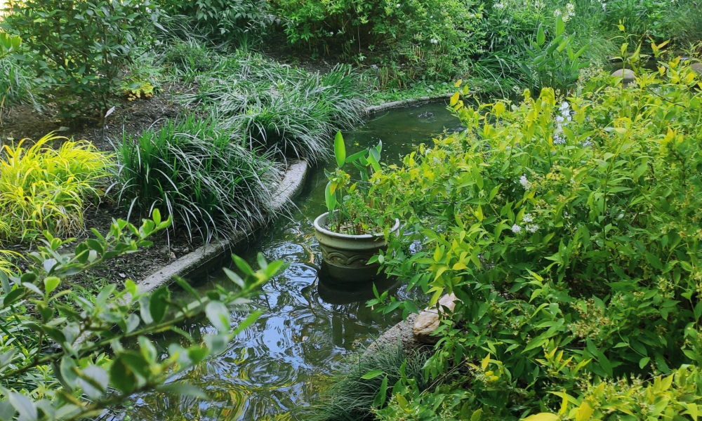 garden meditation