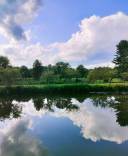 Pond and Sky